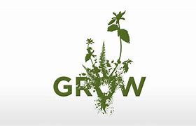 grow apart